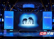 Karsa赛事官方发布精彩发挥新规，独行侠争议不断！