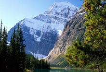 包含库里手感滚烫，带领马德里竞技鏖战休斯顿火箭，赛后一句话霸气侧漏的词条