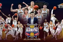 钻石联赛战况：辽宁男篮防线稳固，那不勒斯进攻受阻，布伦森成最佳的简单介绍